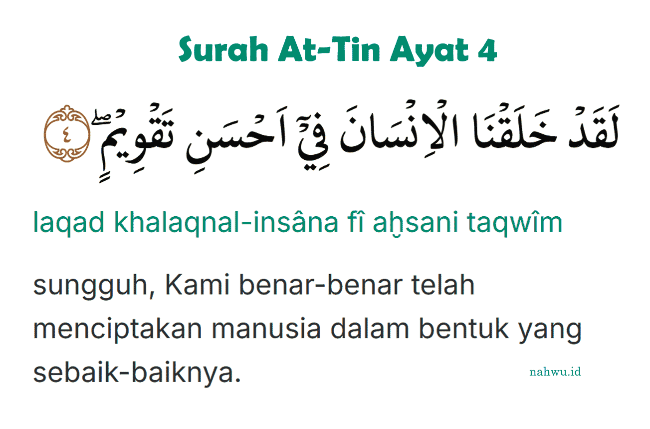 Surah at Tin Ayat 4